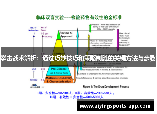 拳击战术解析：通过巧妙技巧和策略制胜的关键方法与步骤